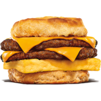 Home 20 Double Sausage Egg and Cheese Biscuit